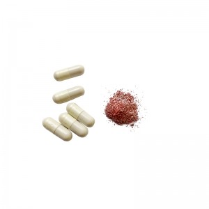 OEM Elderberry 캡슐 비 GMO 글루텐 프리 산화 방지제 면역 지원